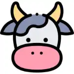 AoxVPN